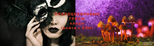 эйфоретик Белокуриха