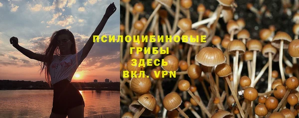 герыч Тавда