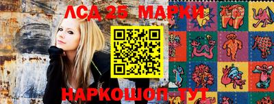PSILOCYBIN Краснознаменск