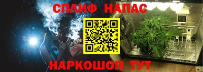 PSILOCYBIN Краснознаменск