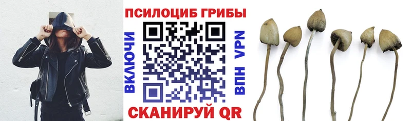 Галлюциногенные грибы прущие грибы  Горячий Ключ 