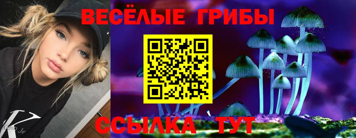 Галлюциногенные грибы GOLDEN TEACHER Горячий Ключ