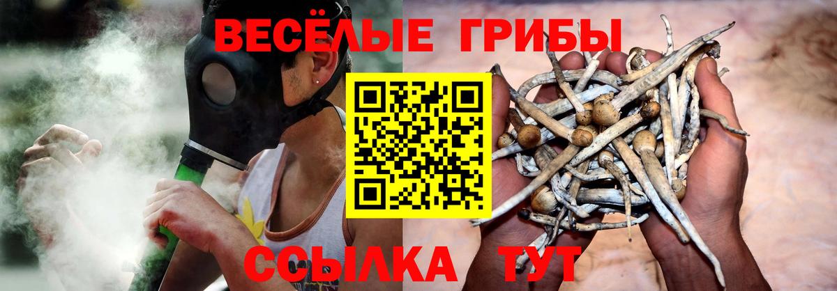Горячий Ключ  Псилоцибиновые грибы прущие грибы  наркошоп  Вход с VPN 